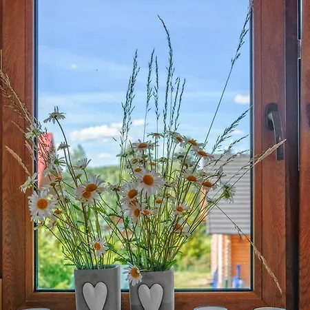 Malinowe Wzgorze 60 M2 Z Balia Na Wylacznosc 펜션