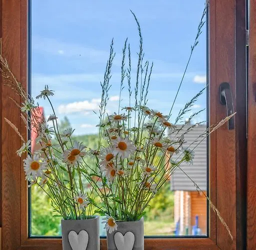 Malinowe Wzgorze 60 M2 Z Balia Na Wylacznosc Casa vacanze